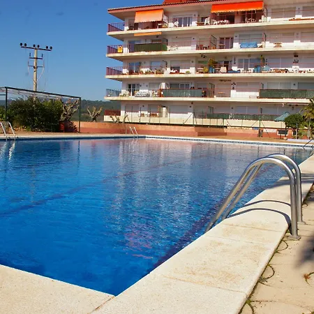 Pau Picasso Con Terraza *