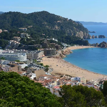 Pau Picasso Con Terraza Apartment Tossa de Mar